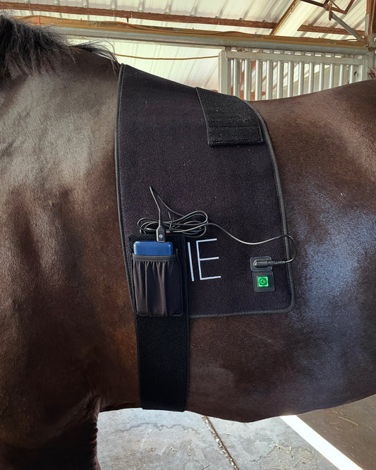 Equine Red Light Therapy Large Blanket w/Power Bank