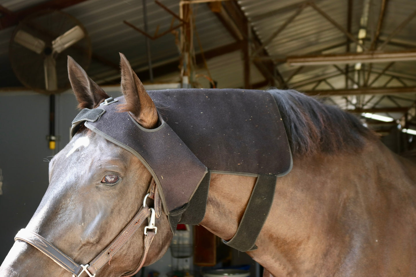 Equine Red Light Therapy Poll and Neck Wrap w/power bank