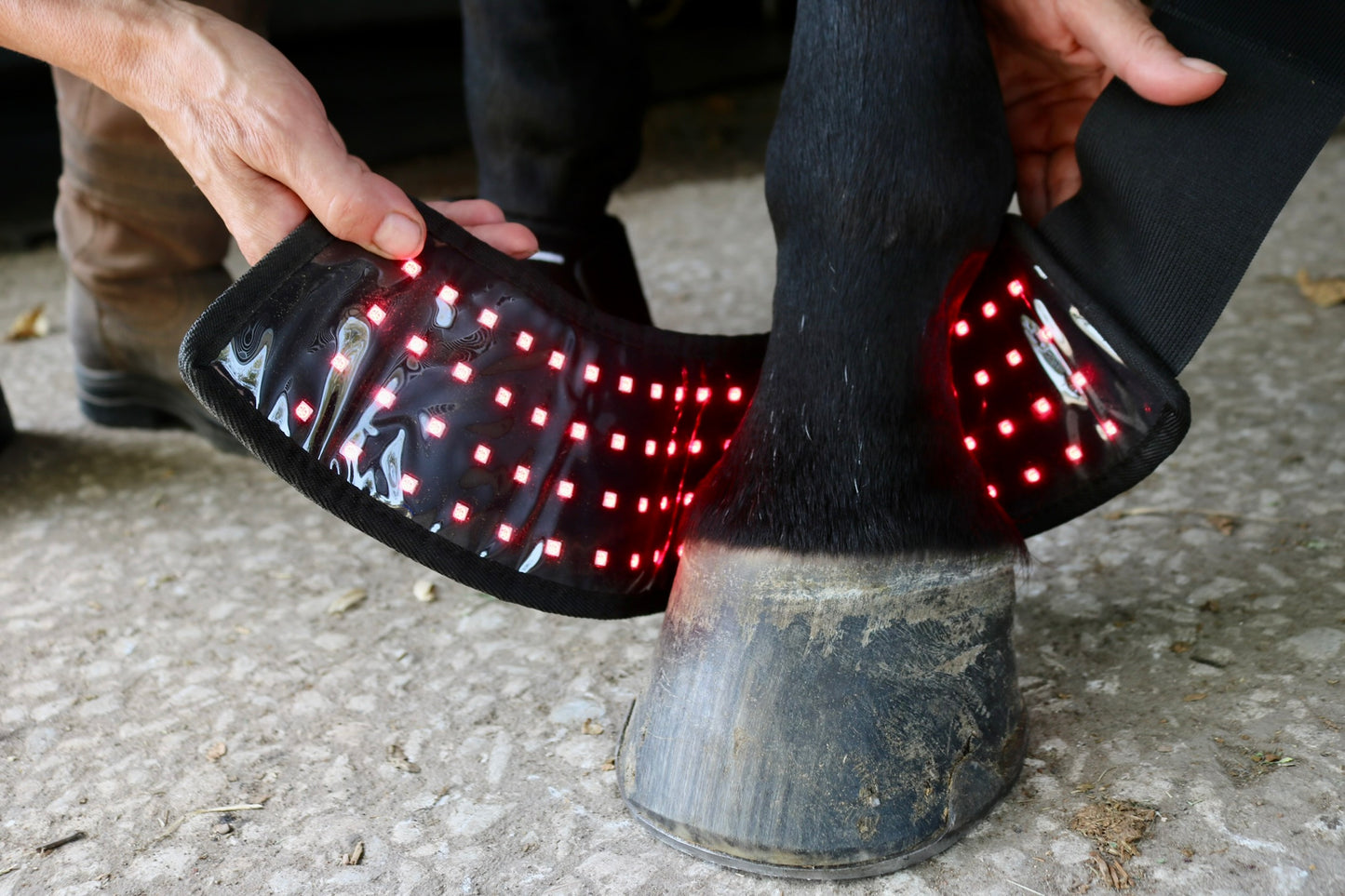 Equine Red Light Therapy Hoof Wraps (pair)