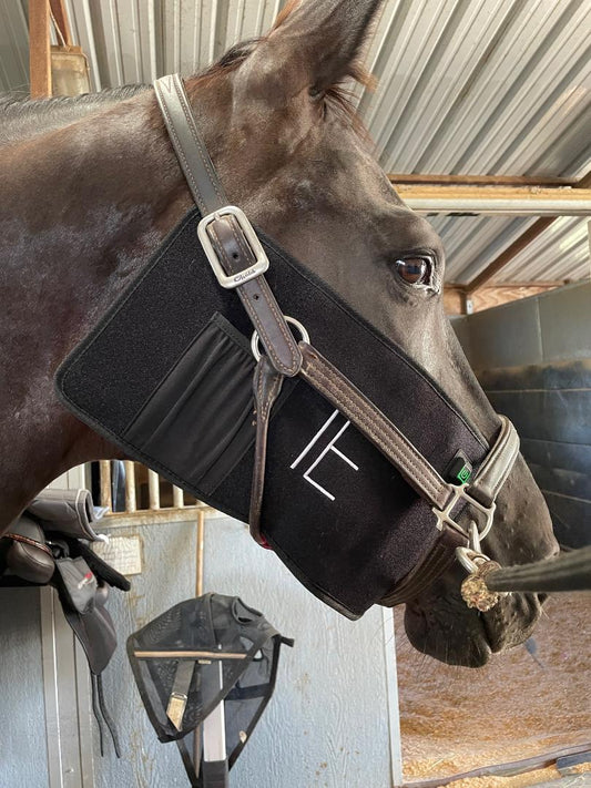 Equine Red Light Therapy Medium Blanket w/Built in Battery