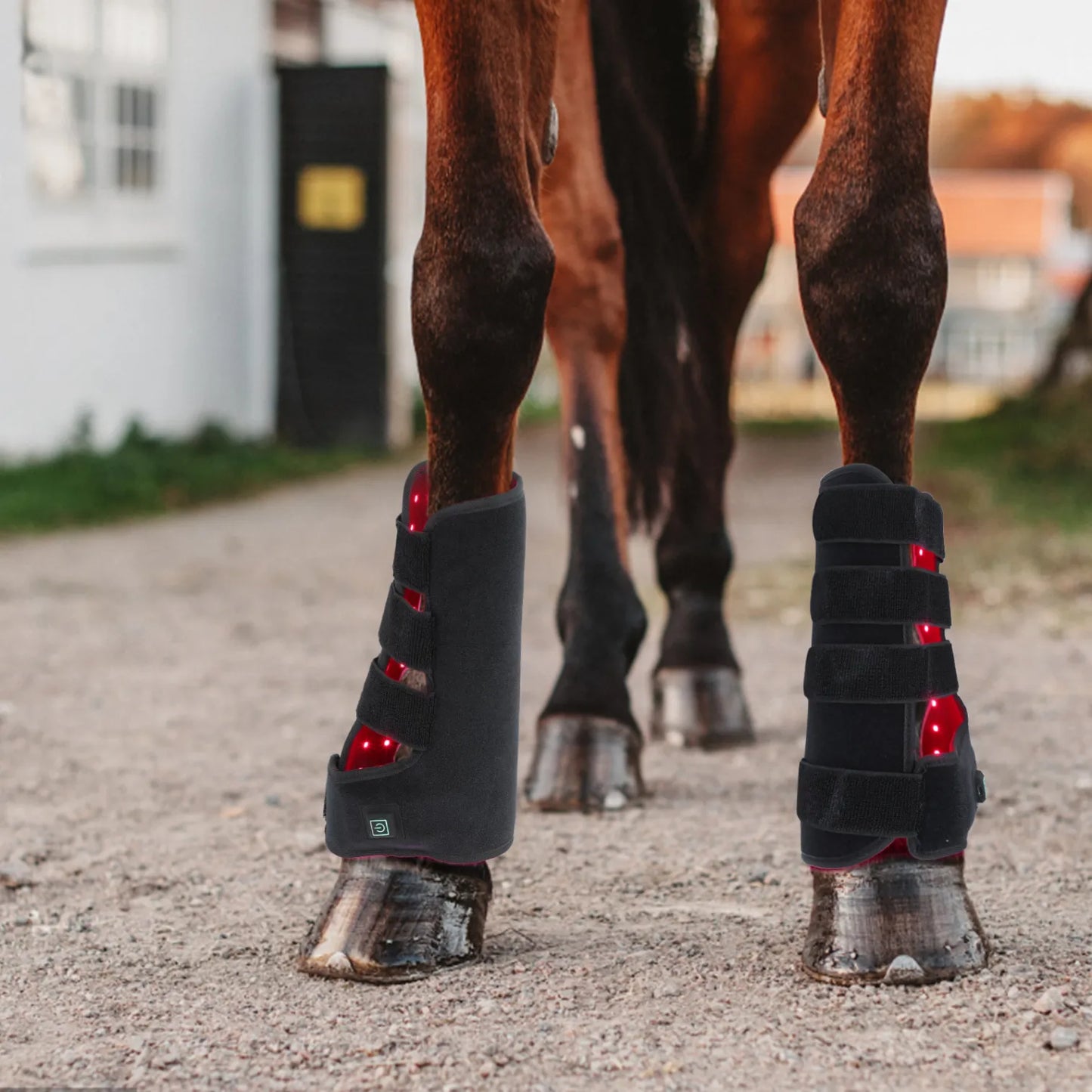 Equine Red Light Therapy Tendon Boots (Pair)